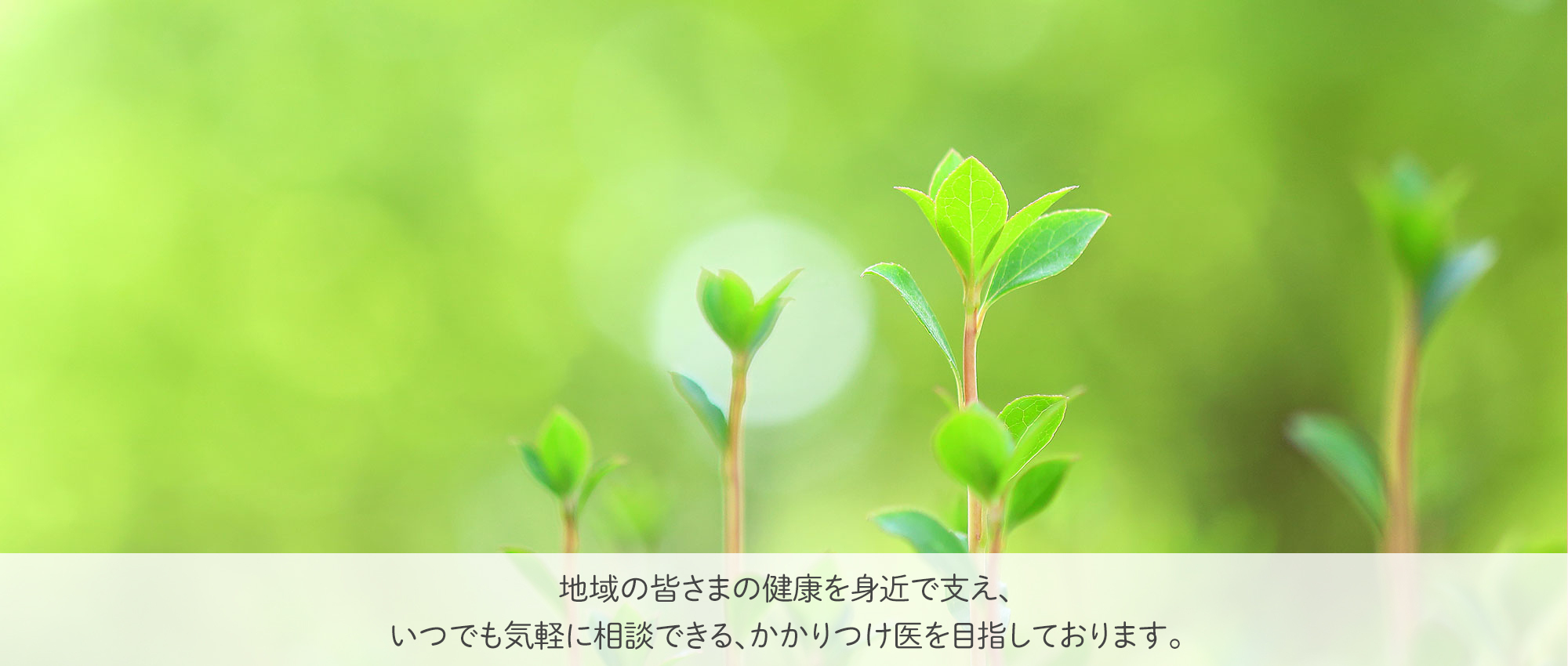 前橋市鼻毛石町、内科・消化器内科・呼吸器内科・循環器内科